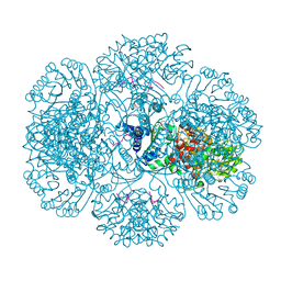 BU of 3rsf by Molmil