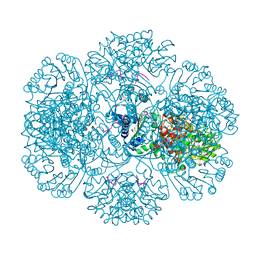 BU of 3rta by Molmil