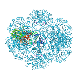 BU of 3rtg by Molmil