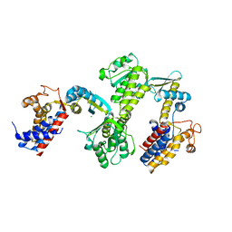 BU of 3rtk by Molmil