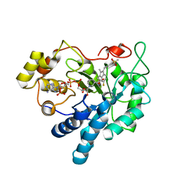 BU of 3rx2 by Molmil