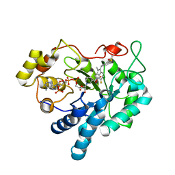 BU of 3rx3 by Molmil