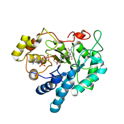 BU of 3rx4 by Molmil