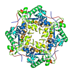 BU of 3rxz by Molmil