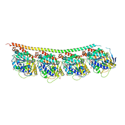 BU of 3ryf by Molmil