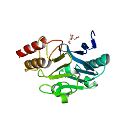 BU of 3sbl by Molmil