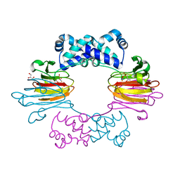 BU of 3scf by Molmil