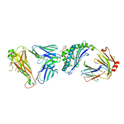 BU of 3scm by Molmil