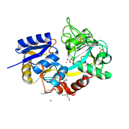 BU of 3sdf by Molmil