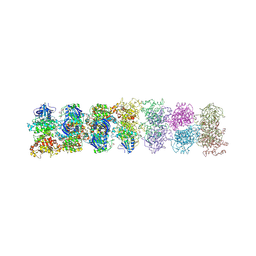 BU of 3sdm by Molmil