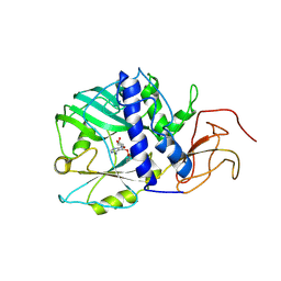 BU of 3sgi by Molmil