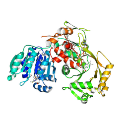 BU of 3sgl by Molmil