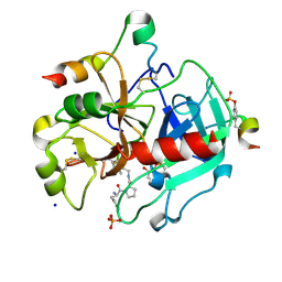 BU of 3si4 by Molmil