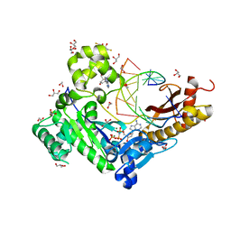 BU of 3si8 by Molmil