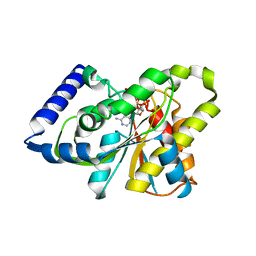 BU of 3sig by Molmil