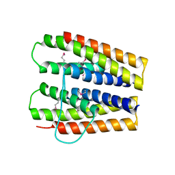 BU of 3sjr by Molmil