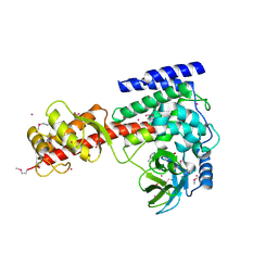 BU of 3smt by Molmil