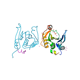 AU of 3smu by Molmil