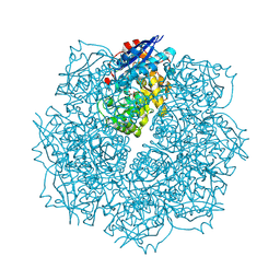 BU of 3sn1 by Molmil