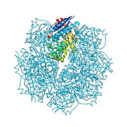 BU of 3sn4 by Molmil