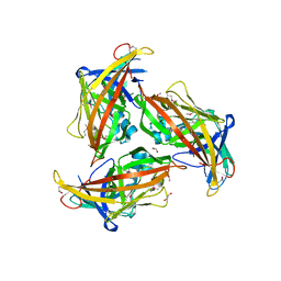 BU of 3sot by Molmil