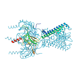 BU of 3spc by Molmil