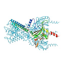 BU of 3spi by Molmil