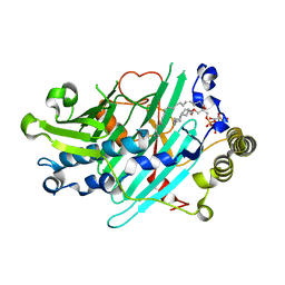 BU of 3spw by Molmil