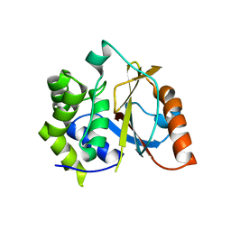AU of 3sqa by Molmil