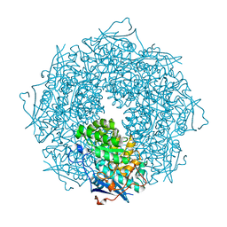 BU of 3stp by Molmil