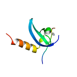 BU of 3svm by Molmil