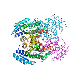 BU of 3svt by Molmil