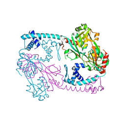 BU of 3szp by Molmil