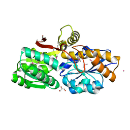 AU of 3t23 by Molmil