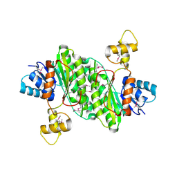 BU of 3t4x by Molmil