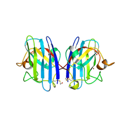 BU of 3t5w by Molmil