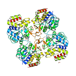 BU of 3t8i by Molmil