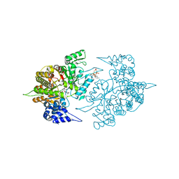 BU of 3tb9 by Molmil