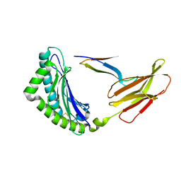 AU of 3tbx by Molmil