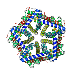 BU of 3tdp by Molmil