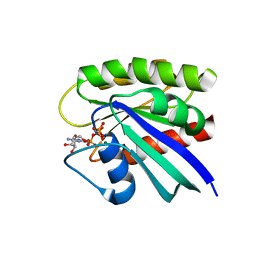 BU of 3tgp by Molmil