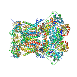 BU of 3tgu by Molmil