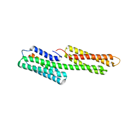 BU of 3tj5 by Molmil