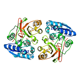 BU of 3tlc by Molmil