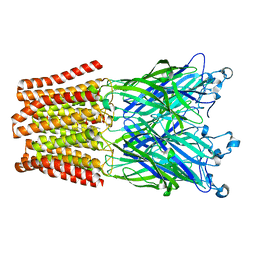 BU of 3tls by Molmil