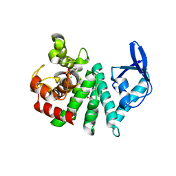 BU of 3tmc by Molmil