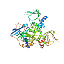 BU of 3tnp by Molmil