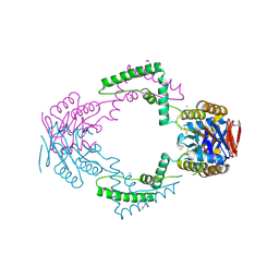 BU of 3toc by Molmil