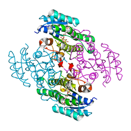 BU of 3tox by Molmil