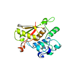 BU of 3tp2 by Molmil